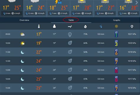 brantford weather hourly